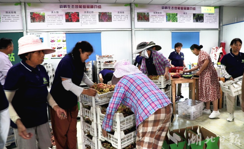 免费糖果派对试玩